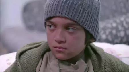 Zranione ptaki - galeria zdjęć - filmweb