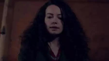 Zranione ptaki - galeria zdjęć - filmweb