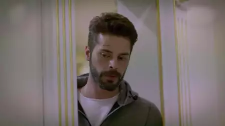 Zranione ptaki - galeria zdjęć - filmweb