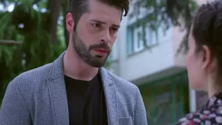 Zranione ptaki - galeria zdjęć - filmweb