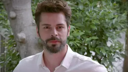 Zranione ptaki - galeria zdjęć - filmweb