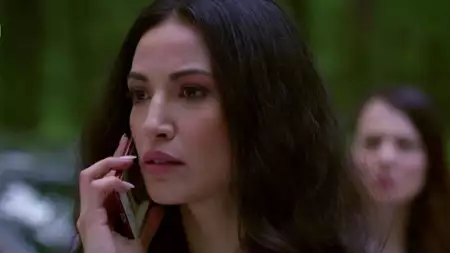 Zranione ptaki - galeria zdjęć - filmweb