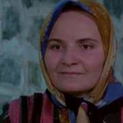 Zranione ptaki - galeria zdjęć - filmweb