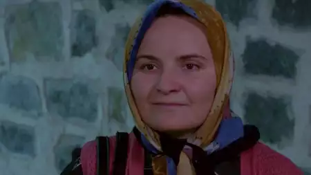 Zranione ptaki - galeria zdjęć - filmweb