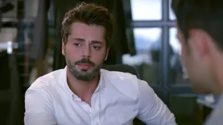 Zranione ptaki - galeria zdjęć - filmweb
