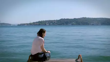 Zranione ptaki - galeria zdjęć - filmweb