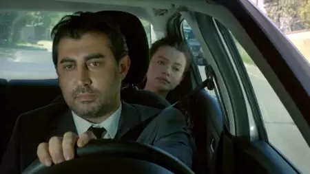 Zranione ptaki - galeria zdjęć - filmweb