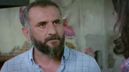 Zranione ptaki - galeria zdjęć - filmweb