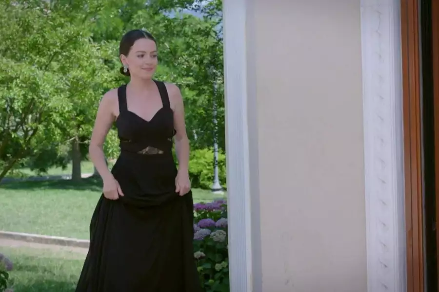 Zranione ptaki - galeria zdjęć - filmweb