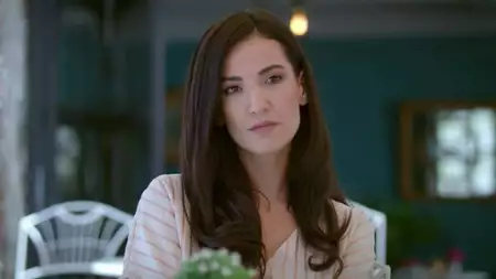 Zranione ptaki - galeria zdjęć - filmweb