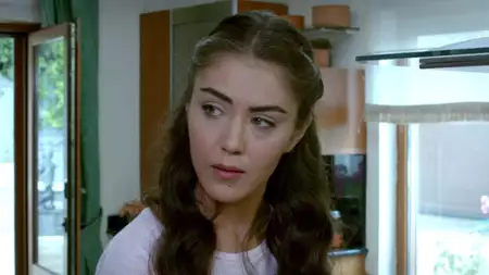 Zranione ptaki - galeria zdjęć - filmweb