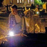 11:14 - galeria zdjęć - filmweb