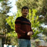 Boğa Boğa - galeria zdjęć - filmweb