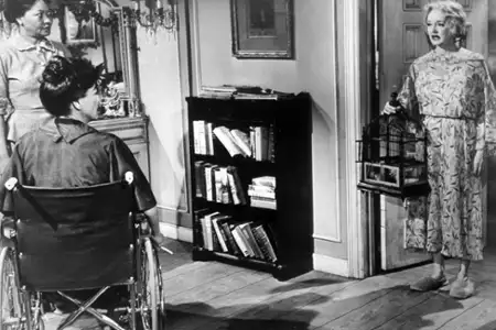 Co się zdarzyło Baby Jane? - galeria zdjęć - filmweb
