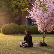 Xo, Kitty - galeria zdjęć - filmweb
