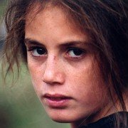 Gdyby żółwie mogły latać - galeria zdjęć - filmweb