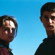 Gdyby żółwie mogły latać - galeria zdjęć - filmweb
