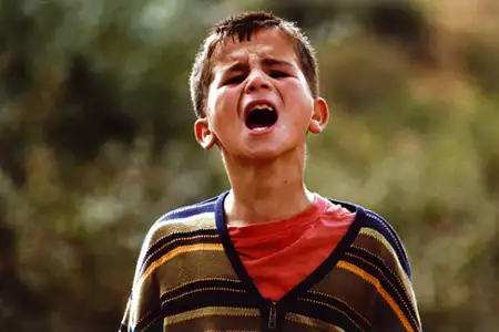Gdyby żółwie mogły latać - galeria zdjęć - filmweb