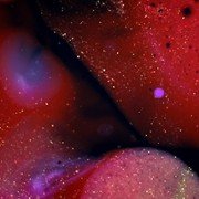 100 kilos d’étoiles - galeria zdjęć - filmweb