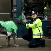 Boston Blue - galeria zdjęć - filmweb