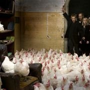 Zastępstwo - galeria zdjęć - filmweb