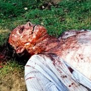 The Zombie Diaries - galeria zdjęć - filmweb