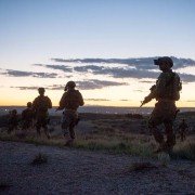 Sicario - galeria zdjęć - filmweb