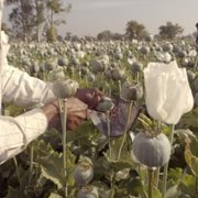 The Crime of the Century - galeria zdjęć - filmweb