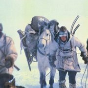 Śmiertelne polowanie - galeria zdjęć - filmweb