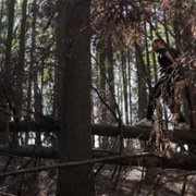 Nature Is My Homeland - galeria zdjęć - filmweb