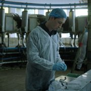 Samogłów - galeria zdjęć - filmweb