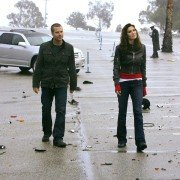 Agenci NCIS: Los Angeles - galeria zdjęć - filmweb