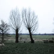 Die verlorene Zeit - galeria zdjęć - filmweb