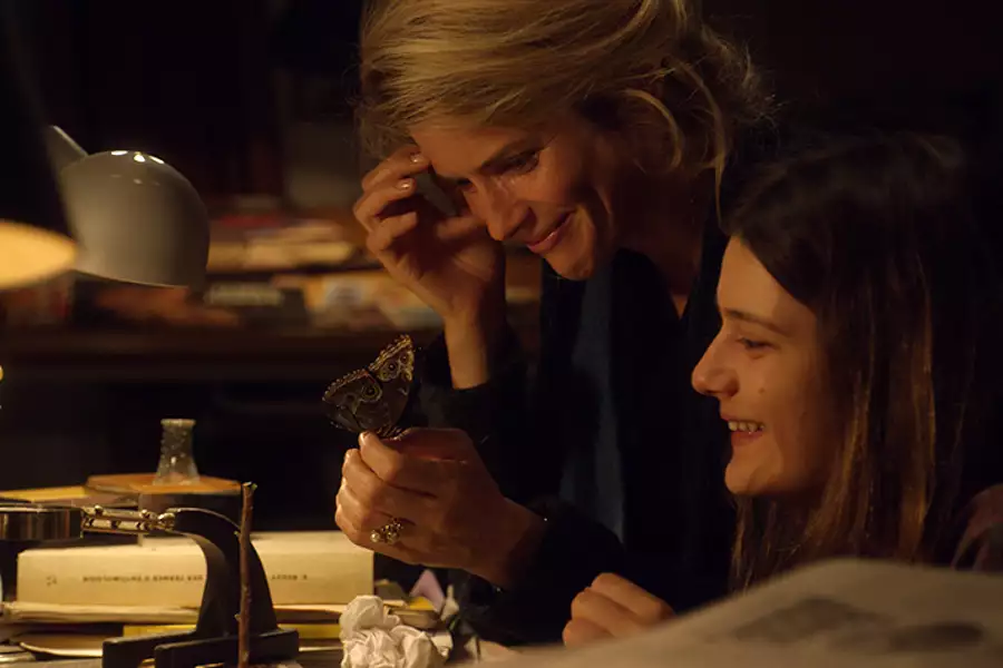Pamiątki Claire Darling - galeria zdjęć - filmweb