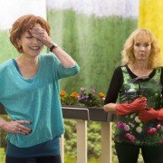 Życie Rileya - galeria zdjęć - filmweb