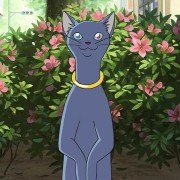 Neko no ongaeshi - galeria zdjęć - filmweb