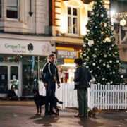 Pillion - galeria zdjęć - filmweb