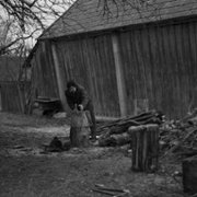Dalej jest dzień - galeria zdjęć - filmweb