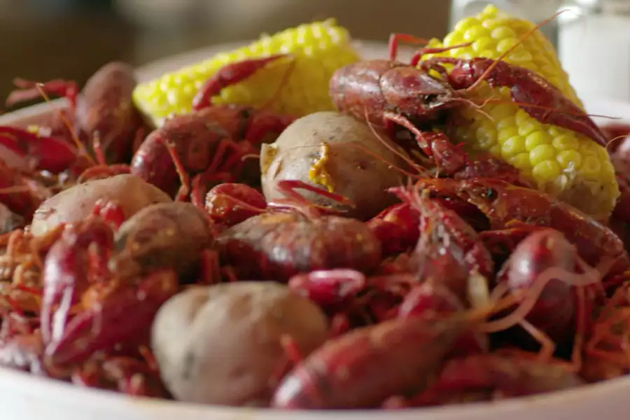 Ugly Delicious - galeria zdjęć - filmweb