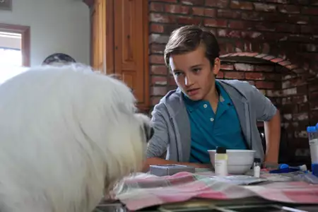 Abner, niewidzialny pies - galeria zdjęć - filmweb