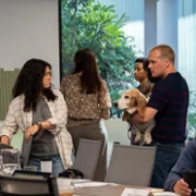 Wielki powr&oacute;t - galeria zdjęć - filmweb