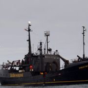 Eco-Pirate: The Story of Paul Watson - galeria zdjęć - filmweb