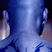 Lobos solitarios - galeria zdjęć - filmweb