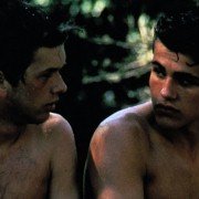 Dzikie trzciny - galeria zdjęć - filmweb