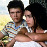 Dzikie trzciny - galeria zdjęć - filmweb