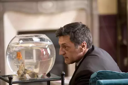 Kłopotliwy gość - galeria zdjęć - filmweb