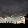 Z kroniki Auschwitz - galeria zdjęć