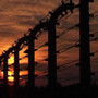 Z kroniki Auschwitz - galeria zdjęć