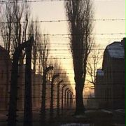 Z kroniki Auschwitz - galeria zdjęć - filmweb