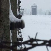 Z kroniki Auschwitz - galeria zdjęć - filmweb